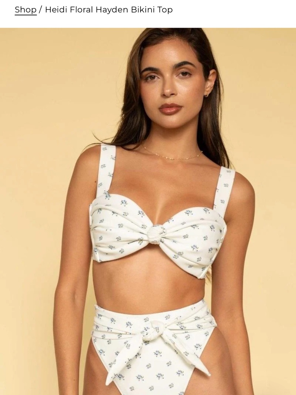 Montce Hayden Bikini Top